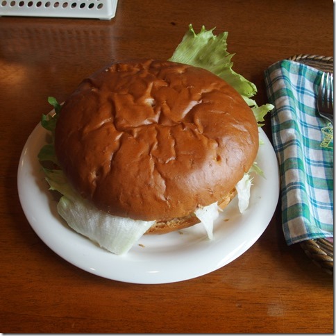 hamburger (8)